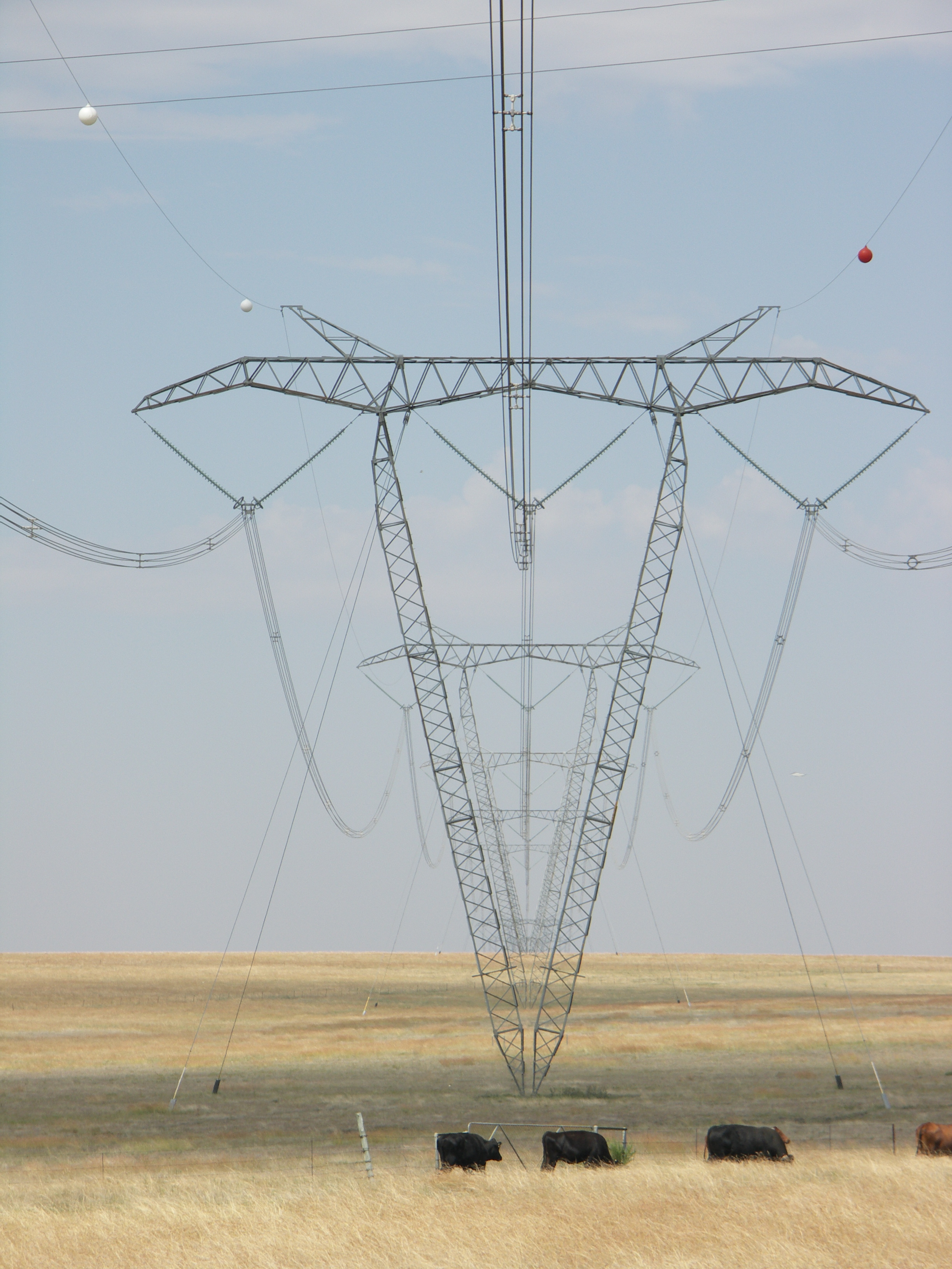 A 765 kilovolt transmission line crossing Free State, South Africa