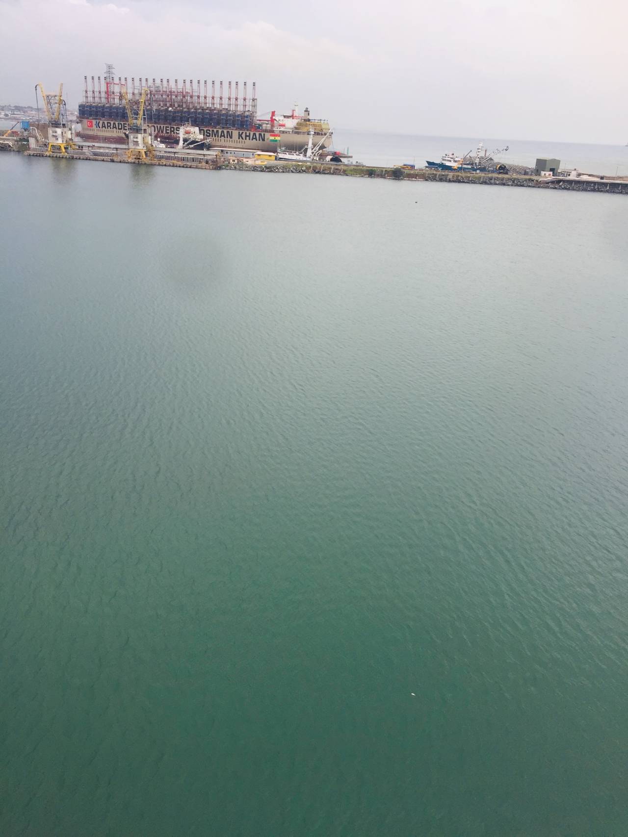 A vessel, cranes and waterfront infrastructure at Tema Harbour in an archival May 2019 photograph