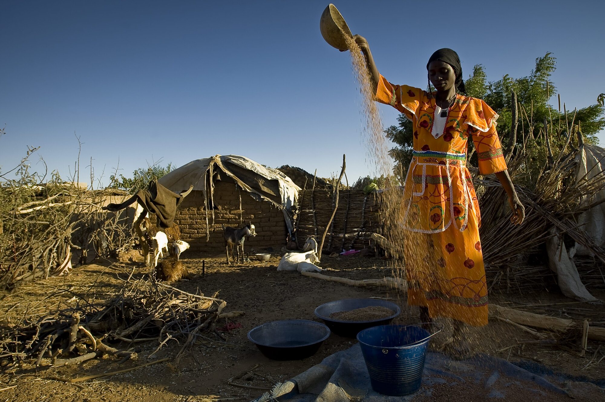 Sudanese refugees receiving humanitarian assistance in Chad